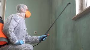 Mold Remediation for Rental Properties in Topton, PA